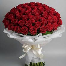Букет 101 Красная роза Блэк Мэджик в Борки