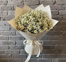 Букет цветов из:  Ромашки в Борки