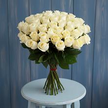 Букет 51 Белая роза Эдлесс Лав #REPLACE_PRED# Борки