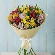 Букет цветов из:  Альстромерии #REPLACE_PRED# Борки