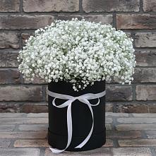 Цветочная композиция из Гипсофила в шляпной коробке в Борки