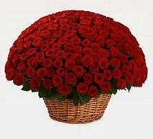 Премиум букет из: Розы в Борки